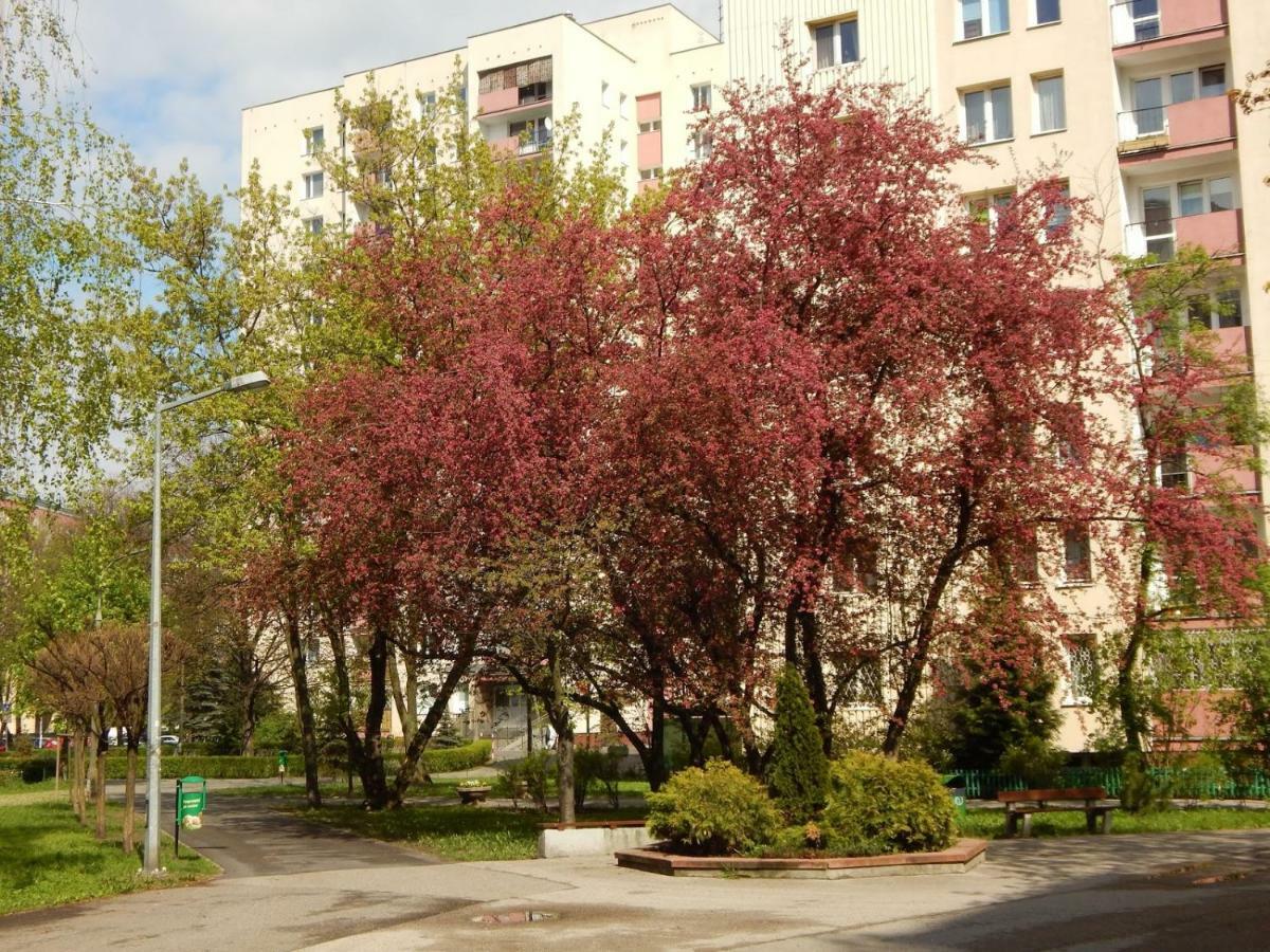 Apartament LUXURY BUSINESS Saska Kępa Apartment Warsawa Bagian luar foto